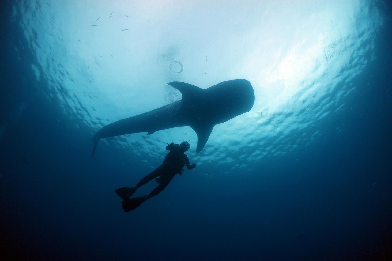 Отель Sea Blue Онна Экстерьер фото